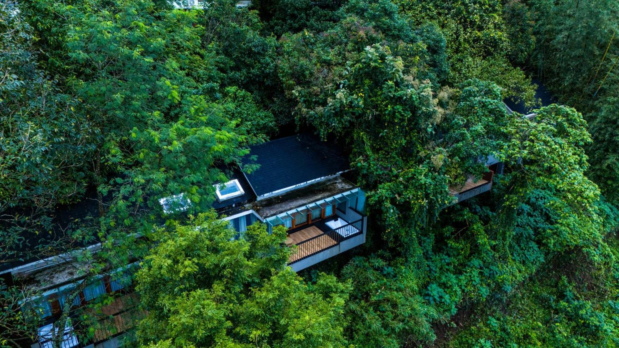 Wayanad Silverwoods Forest Resort & Spa Padinjarathara Dış mekan fotoğraf