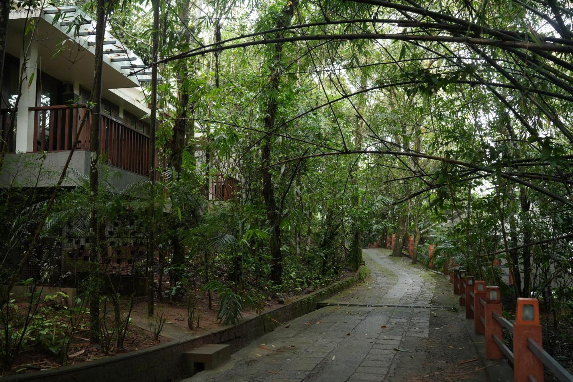Wayanad Silverwoods Forest Resort & Spa Padinjarathara Dış mekan fotoğraf