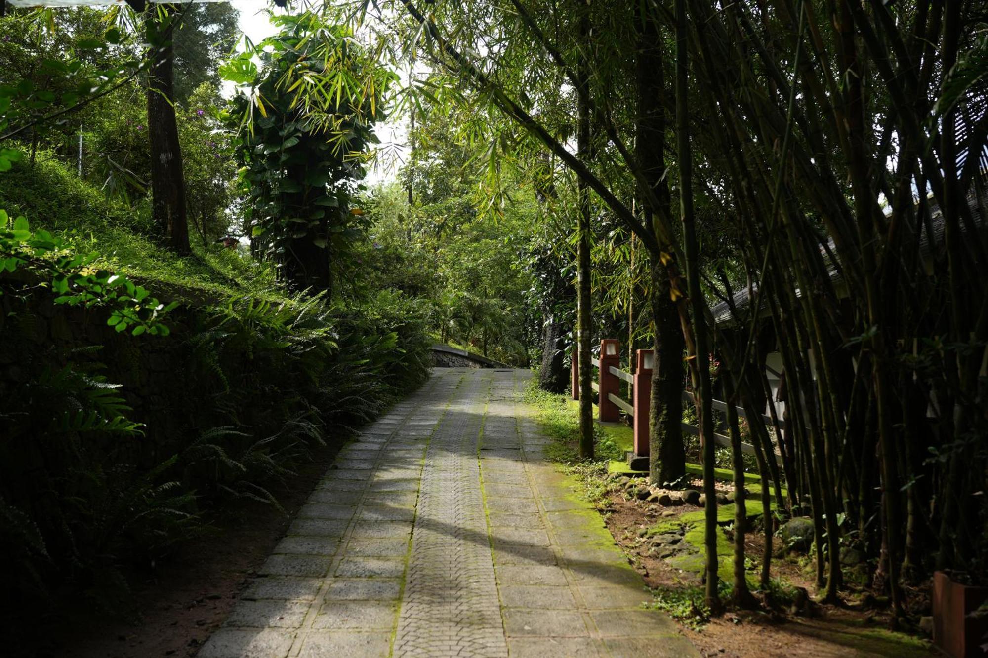 Wayanad Silverwoods Forest Resort & Spa Padinjarathara Dış mekan fotoğraf
