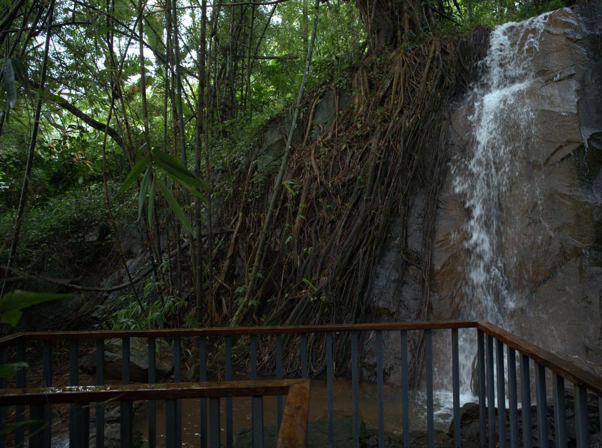 Wayanad Silverwoods Forest Resort & Spa Padinjarathara Dış mekan fotoğraf